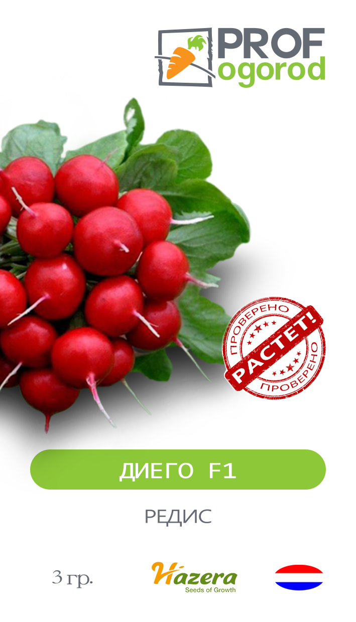 Редис диего. Редис диего
