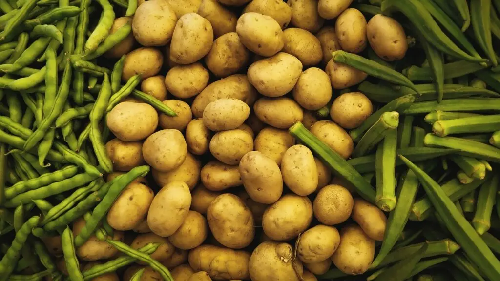 Улучшаем посевы картофеля